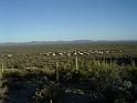 Arizona17
