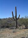 Arizona23