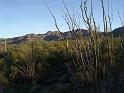 Arizona24