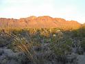 Arizona25
