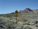 Arizona70