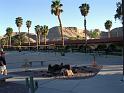 Arizona77