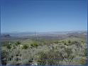 nm016
