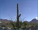 nm054