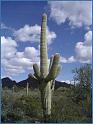nm055